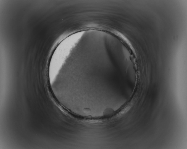 X0000084521373200703231621