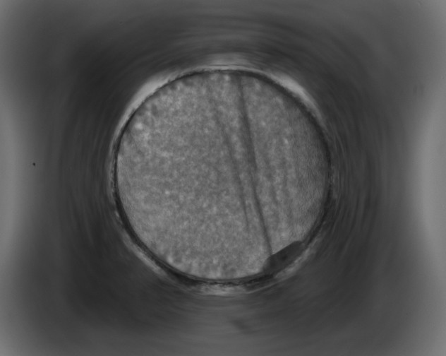 X0000084521374200703231621