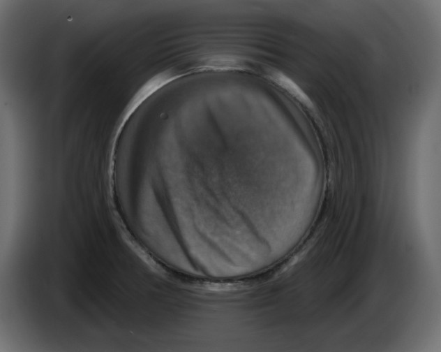 X0000084521378200703231621
