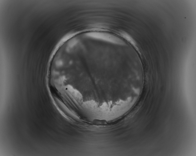 X0000084521379200703231621