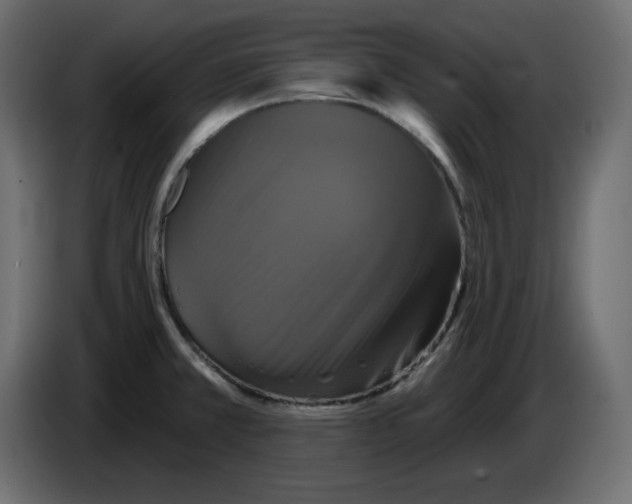 X0000084521381200703231621