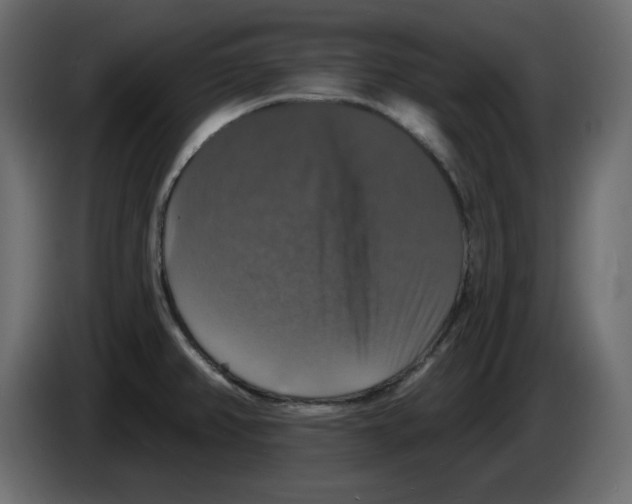 X0000084521382200703231621