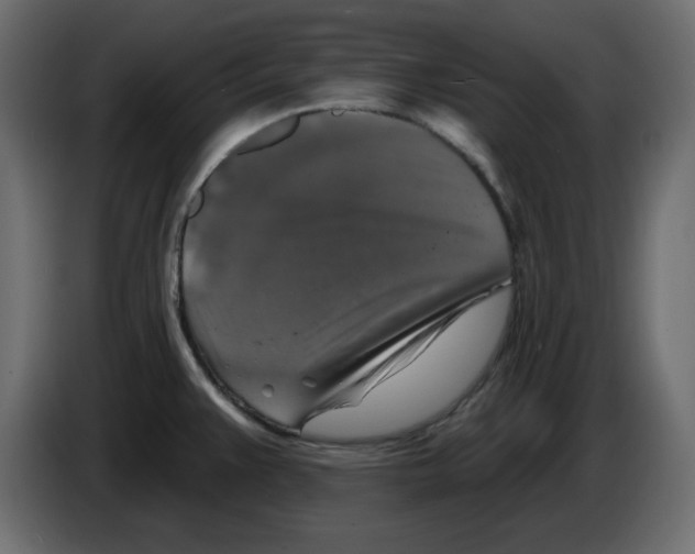 X0000084521383200703231621