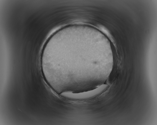 X0000084521384200703231621