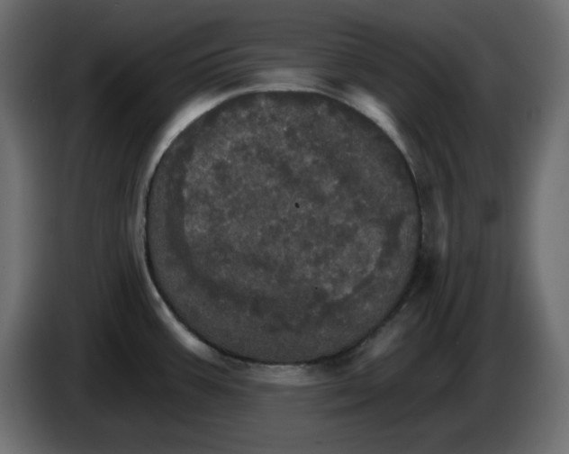 X0000084521387200703231621