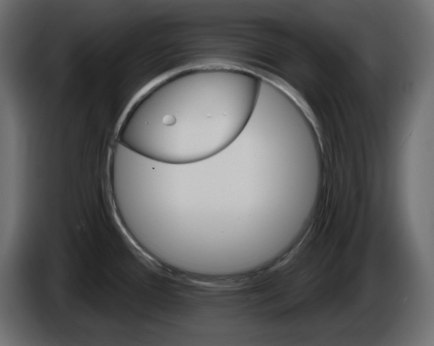 X0000084521388200703231621