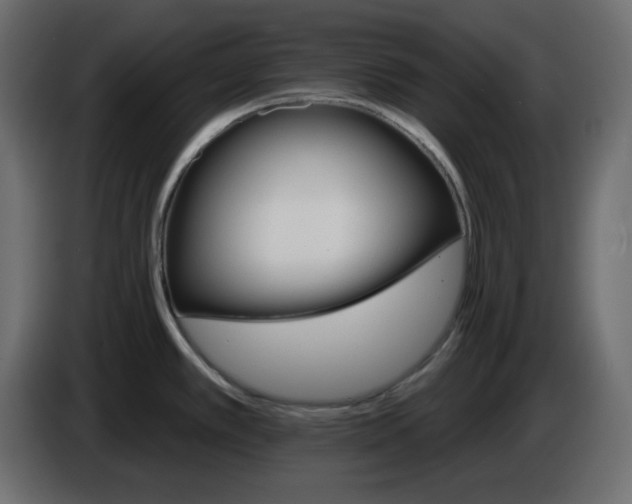 X0000084521389200703231621