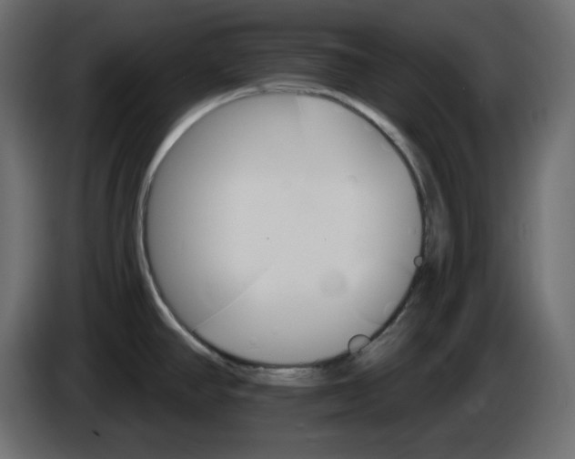 X0000084521390200703231621