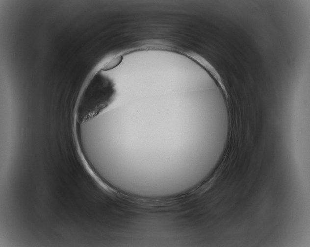 X0000084521391200703231621