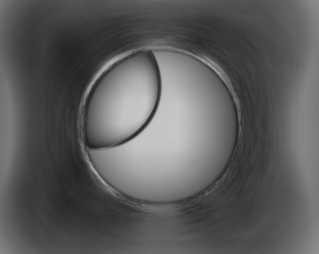 X0000084521392200703231621