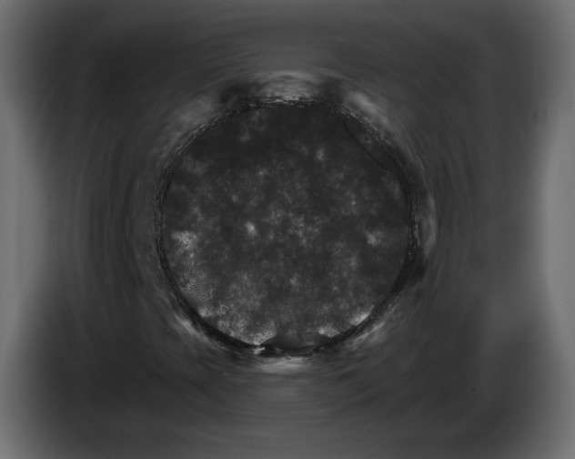 X0000084521393200703231620