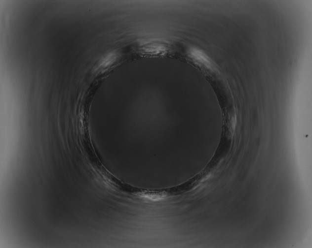 X0000084521394200703231620
