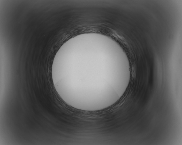 X0000084521395200703231620