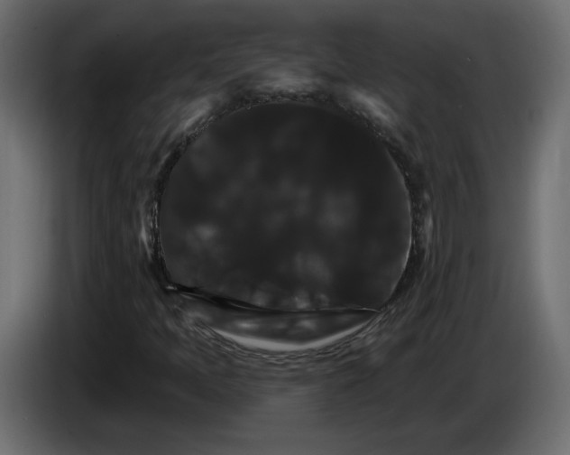 X0000084521397200703231620