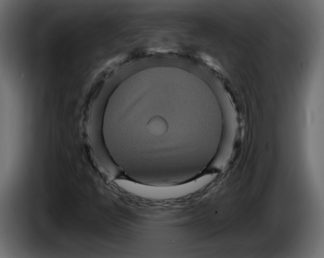 X0000084521398200703231620