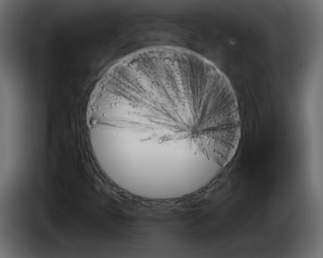 X0000084521399200703231620
