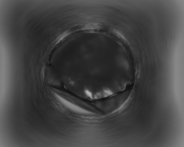 X0000084521401200703231620