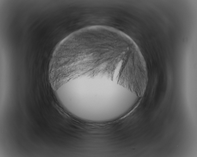 X0000084521403200703231620