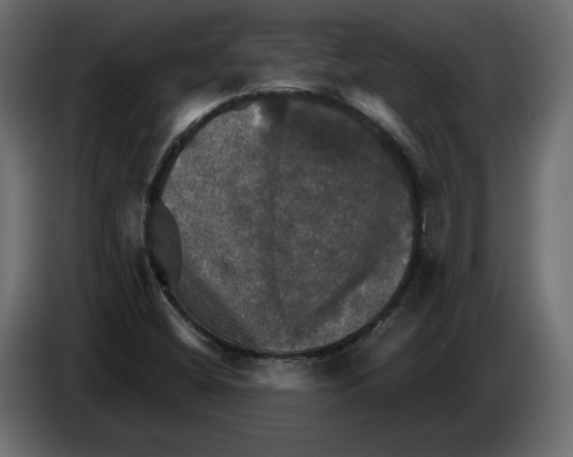 X0000084521404200703231620