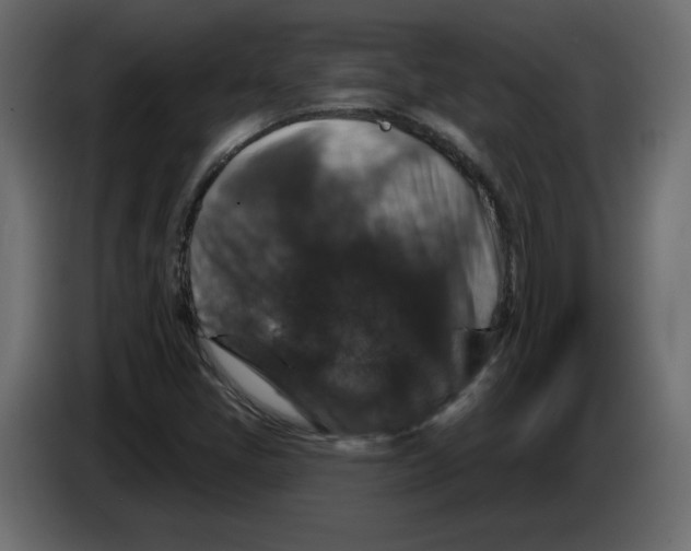 X0000084521405200703231620