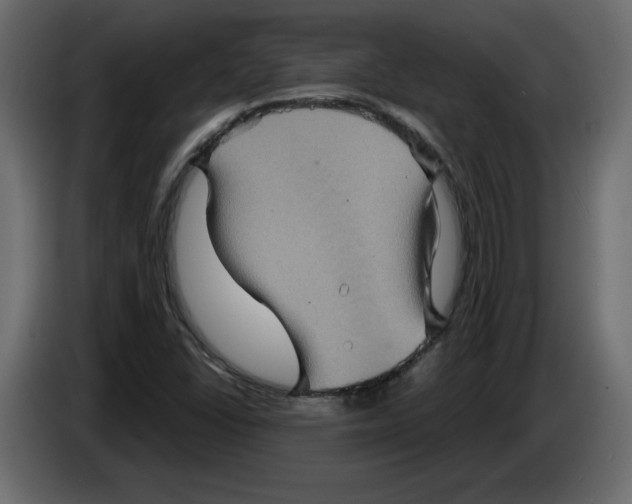 X0000084521406200703231620