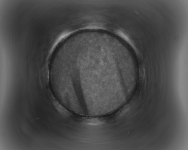 X0000084521408200703231620