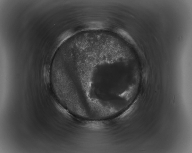 X0000084521409200703231620