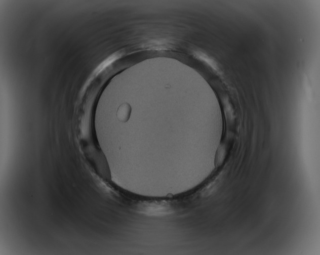 X0000084521410200703231620