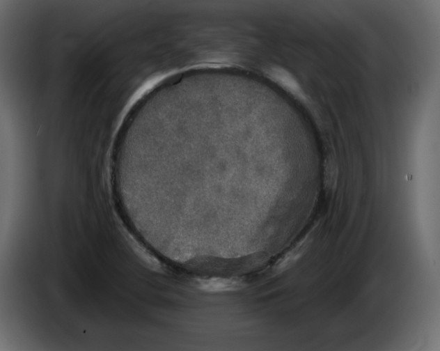 X0000084521412200703231620