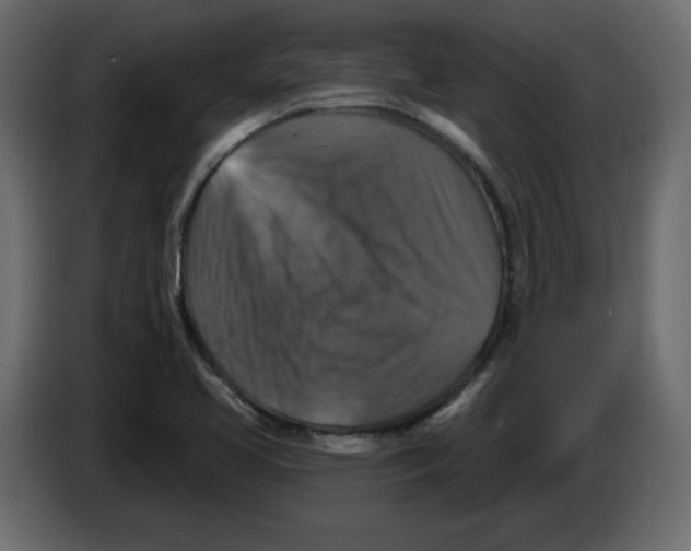 X0000084521413200703231620