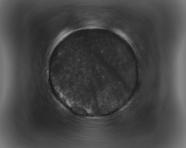 X0000084521415200703231620