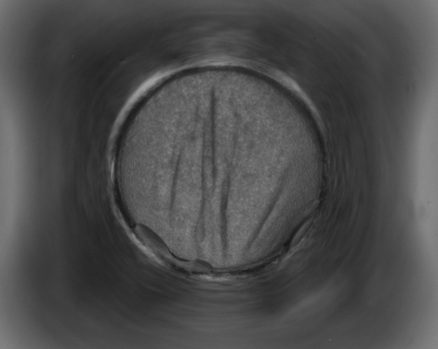 X0000084521416200703231620