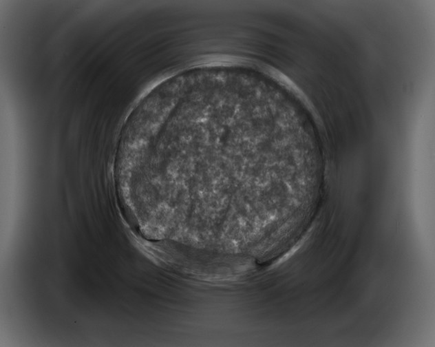 X0000084521417200703231620