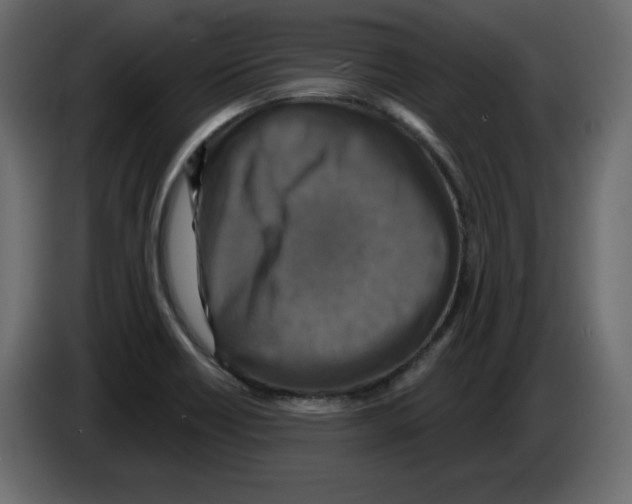 X0000084521418200703231620