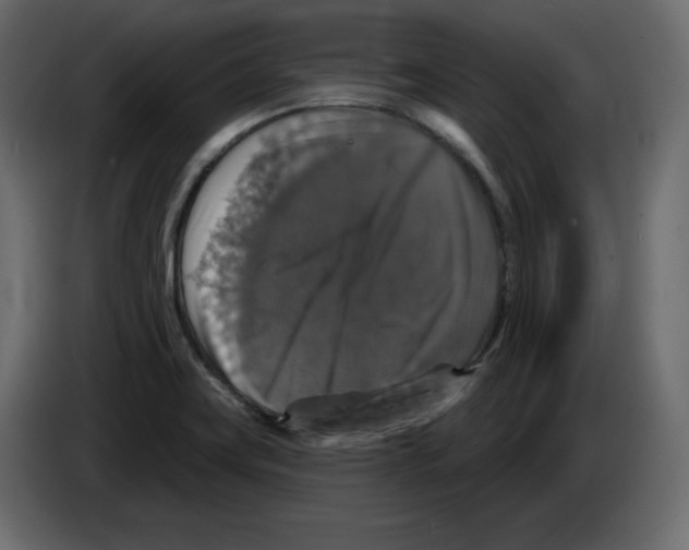 X0000084521419200703231620