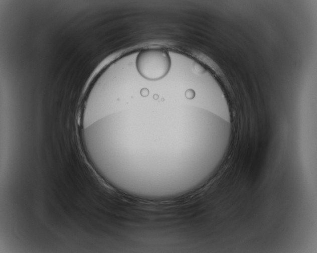 X0000084521420200703231621