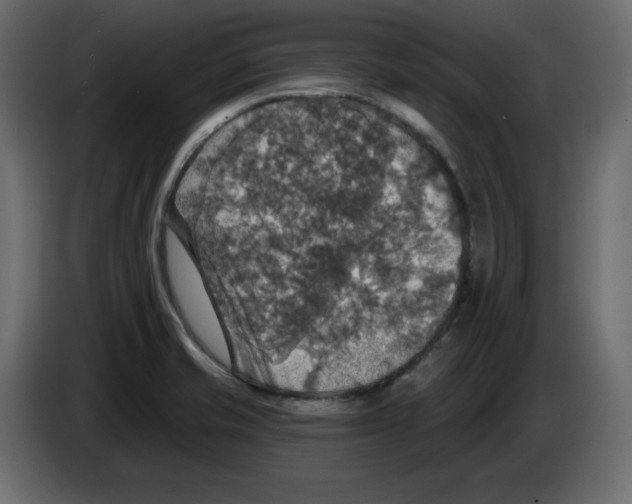 X0000084521421200703231621