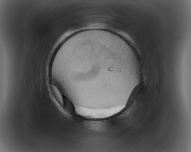 X0000084521422200703231621