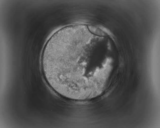 X0000084521423200703231621