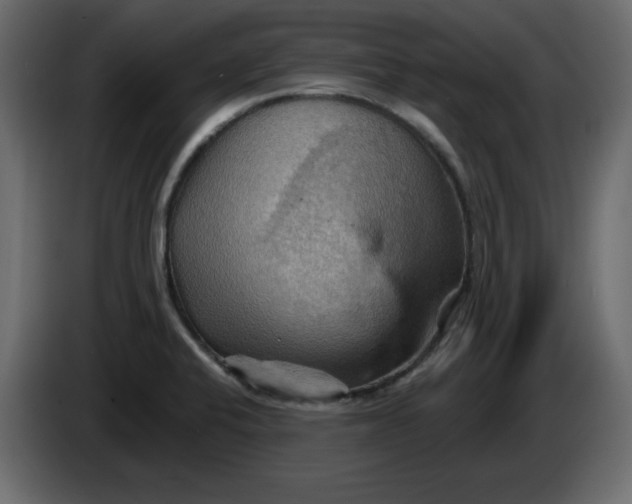 X0000084521424200703231621