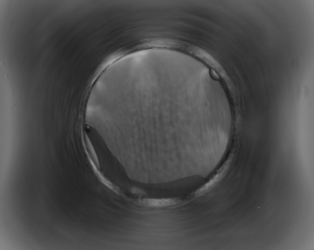 X0000084521425200703231621