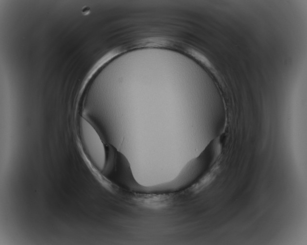 X0000084521426200703231621