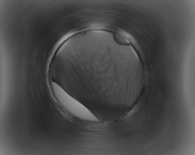 X0000084521427200703231621