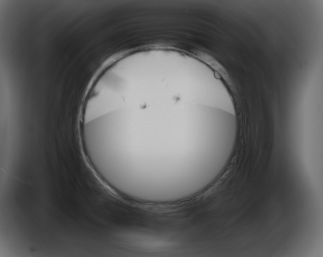 X0000084521428200703231621