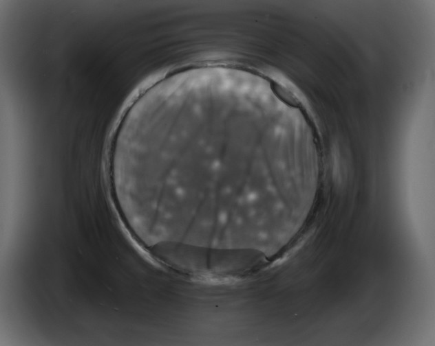 X0000084521429200703231621