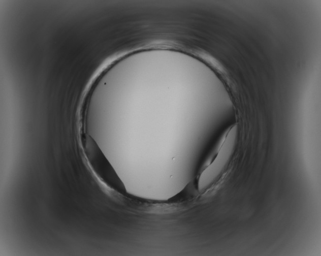 X0000084521430200703231621