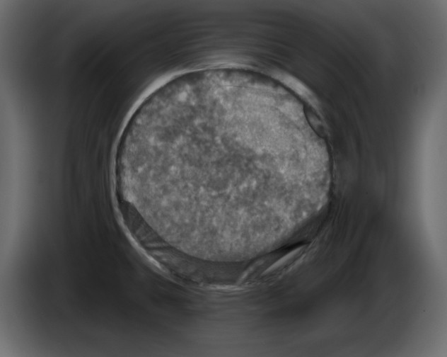 X0000084521431200703231621