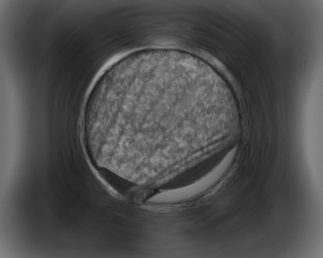 X0000084521432200703231621