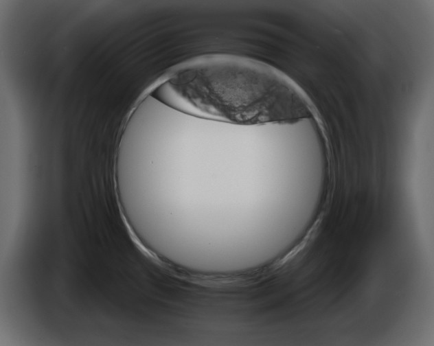 X0000084521433200703231621