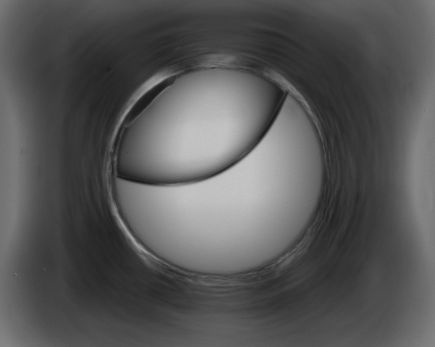 X0000084521434200703231621